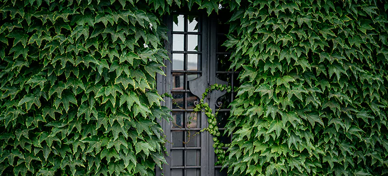 Garden Gate Repair in Pensacola, FL