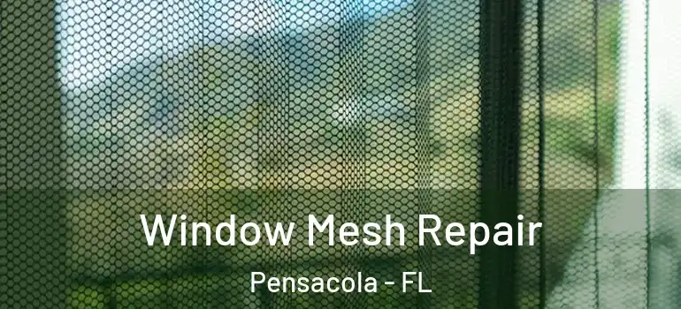  Window Mesh Repair Pensacola - FL